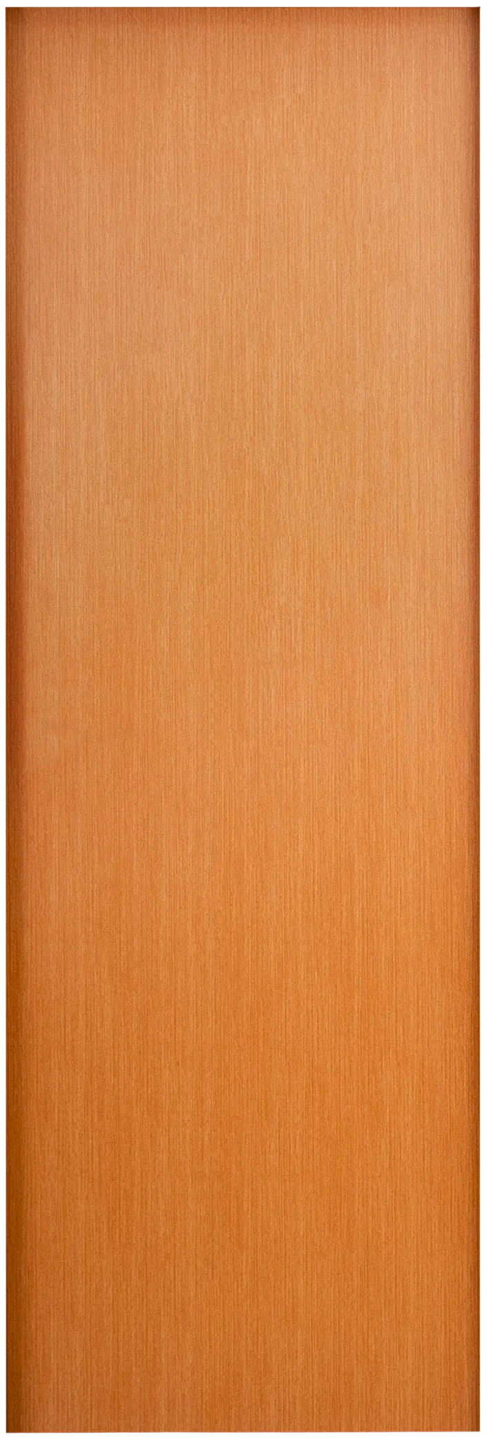 PSS01