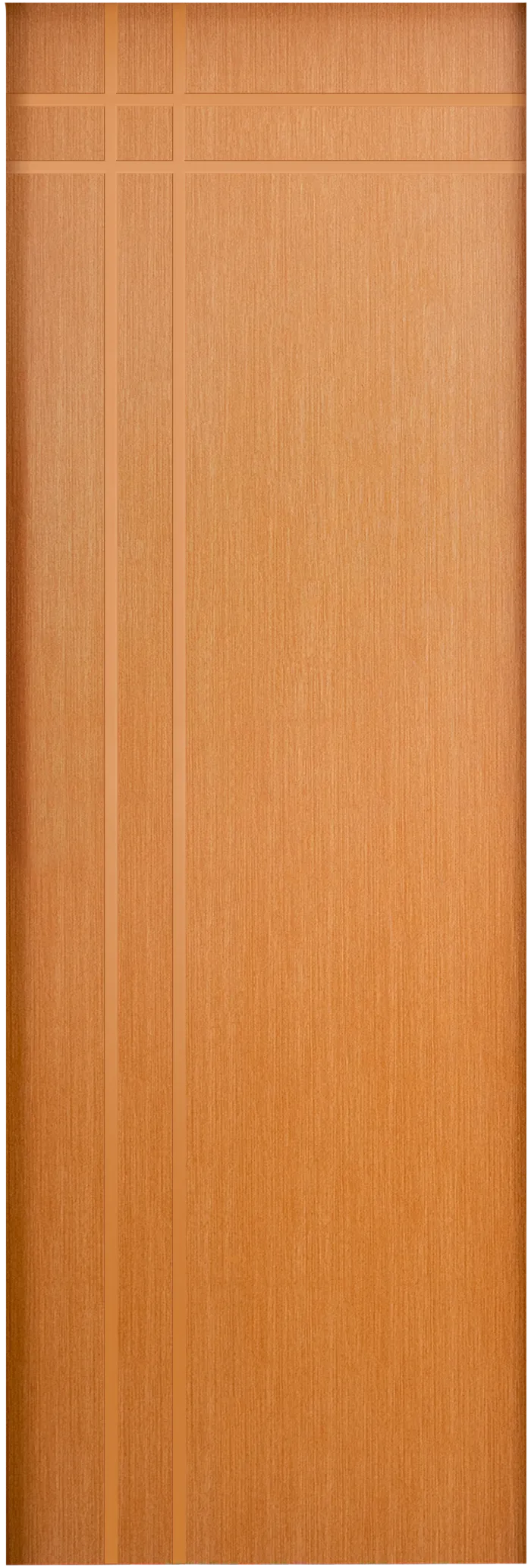 PSS07